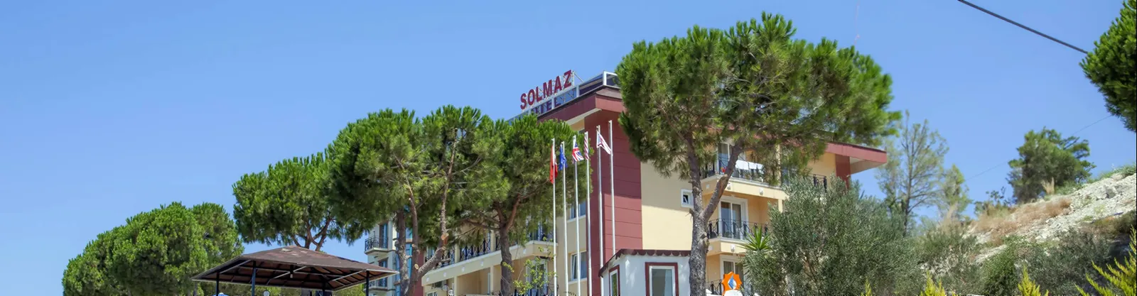 Solmaz Deluxe Otel ve çam ağaçları